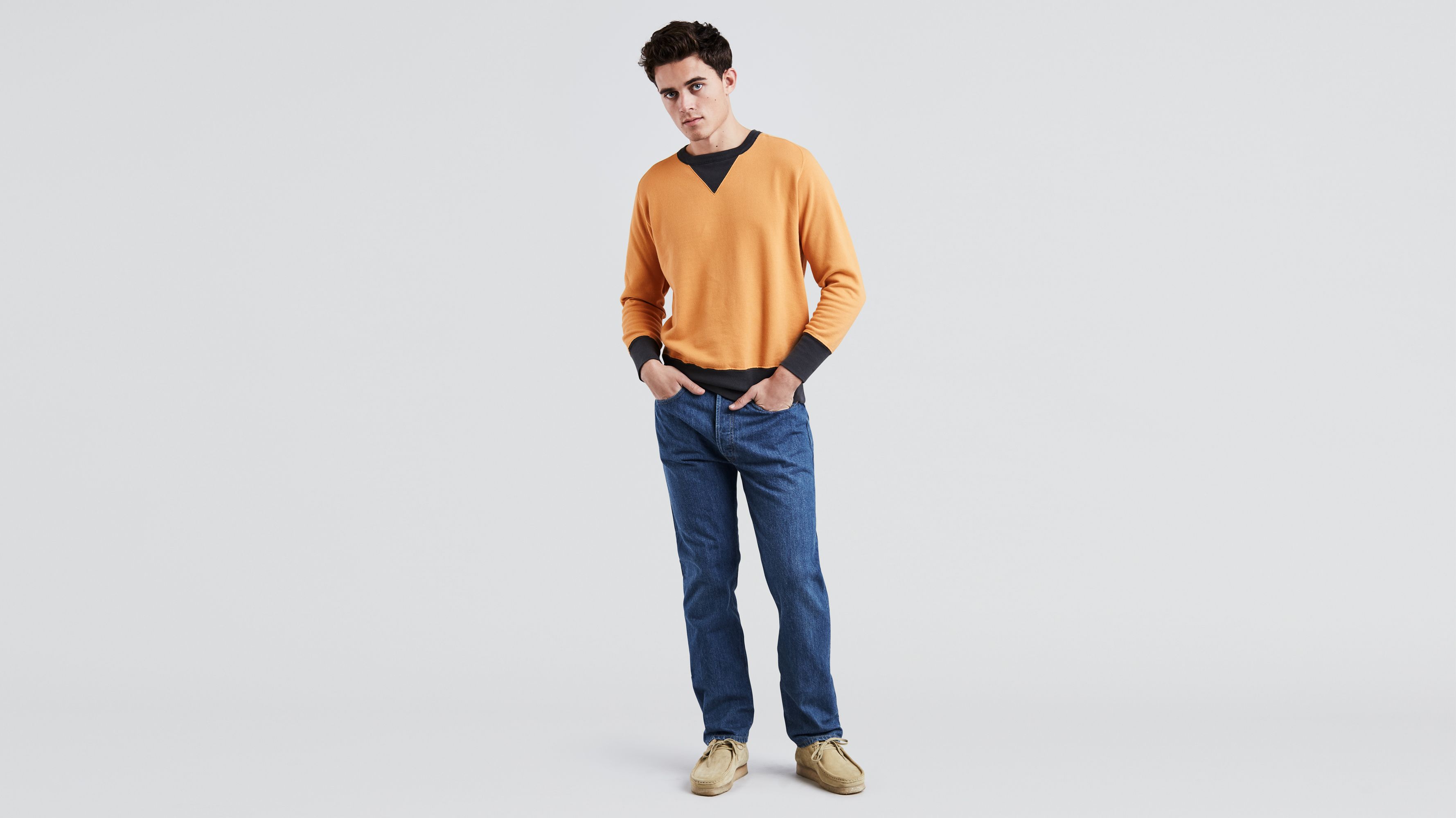levis 1976 501